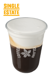Freddo Cappuccino Milk Foam Single Estate