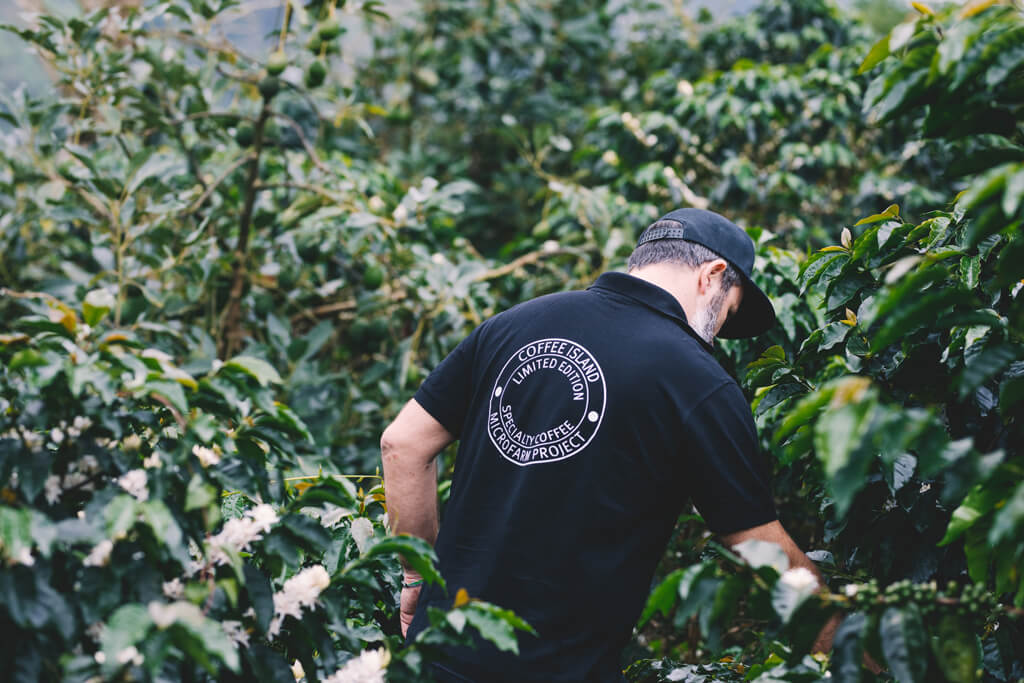 Coffee Explorer, Panagiotis Konstantinopoulos.