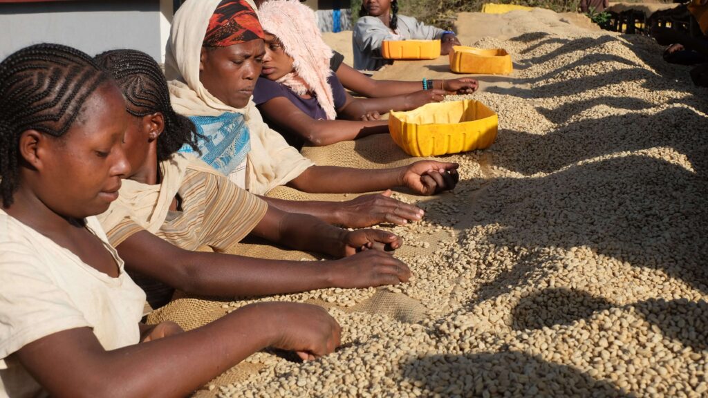 Espresso Single Estate